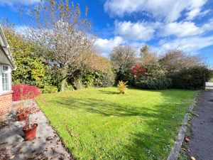 Photo 6- click for photo gallery